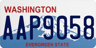 WA license plate AAP9058