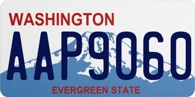 WA license plate AAP9060