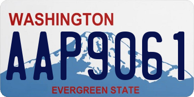 WA license plate AAP9061