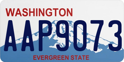 WA license plate AAP9073