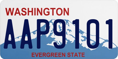 WA license plate AAP9101