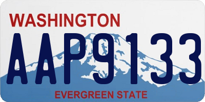 WA license plate AAP9133