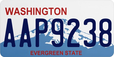 WA license plate AAP9238
