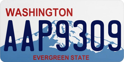 WA license plate AAP9309