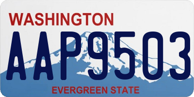 WA license plate AAP9503