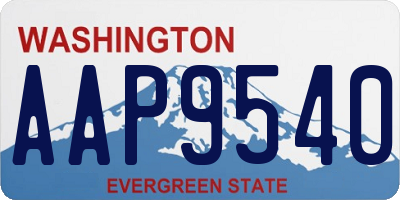 WA license plate AAP9540