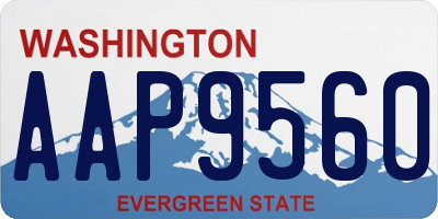 WA license plate AAP9560