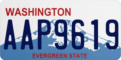 WA license plate AAP9619