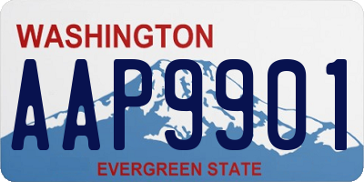 WA license plate AAP9901