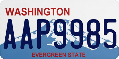 WA license plate AAP9985