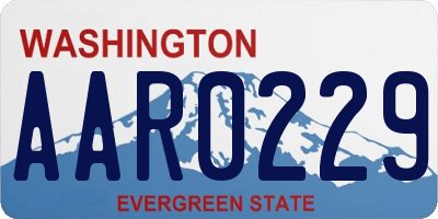 WA license plate AAR0229
