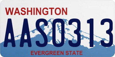 WA license plate AAS0313