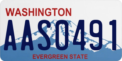 WA license plate AAS0491