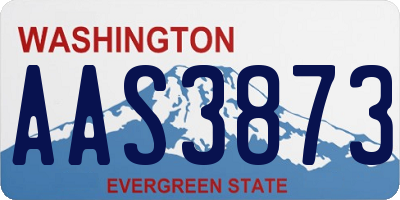 WA license plate AAS3873