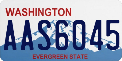 WA license plate AAS6045