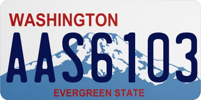 WA license plate AAS6103