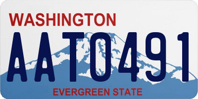 WA license plate AAT0491