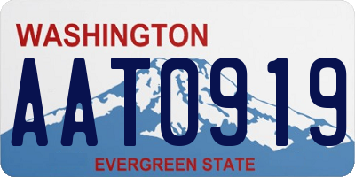 WA license plate AAT0919