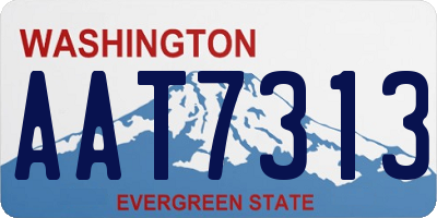 WA license plate AAT7313
