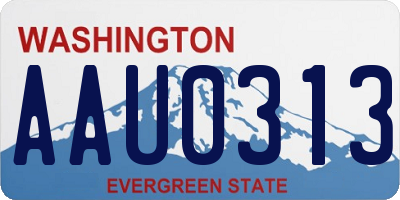 WA license plate AAU0313