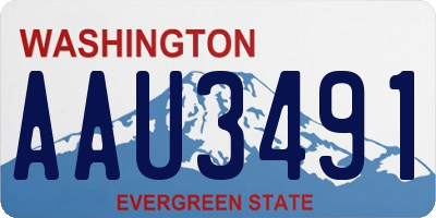 WA license plate AAU3491