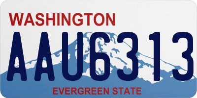 WA license plate AAU6313