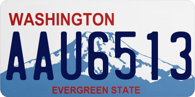 WA license plate AAU6513