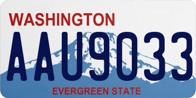 WA license plate AAU9033