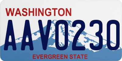 WA license plate AAV0230