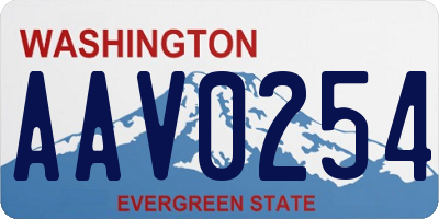 WA license plate AAV0254