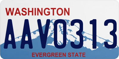 WA license plate AAV0313