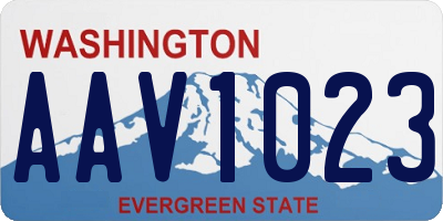 WA license plate AAV1023
