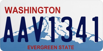 WA license plate AAV1341