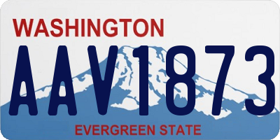 WA license plate AAV1873
