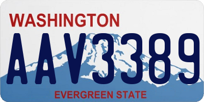 WA license plate AAV3389