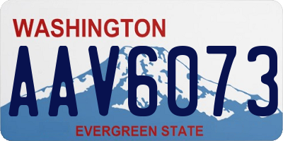 WA license plate AAV6073