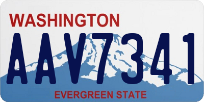 WA license plate AAV7341