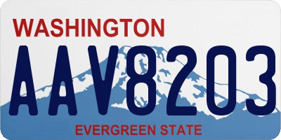 WA license plate AAV8203