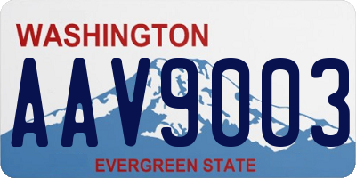 WA license plate AAV9003