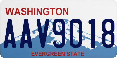WA license plate AAV9018