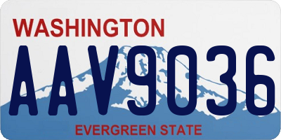 WA license plate AAV9036