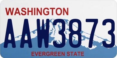 WA license plate AAW3873