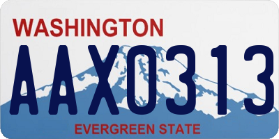 WA license plate AAX0313