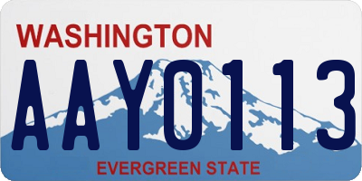 WA license plate AAY0113