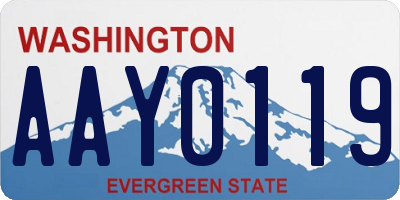 WA license plate AAY0119