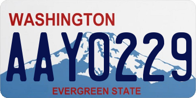 WA license plate AAY0229
