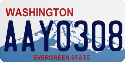 WA license plate AAY0308