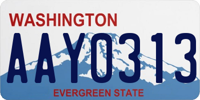 WA license plate AAY0313