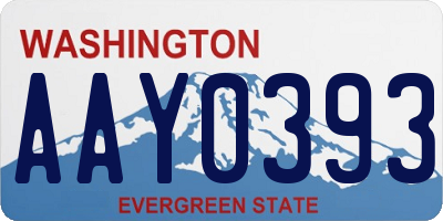 WA license plate AAY0393
