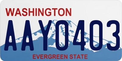 WA license plate AAY0403